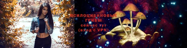 ешки Алексеевка