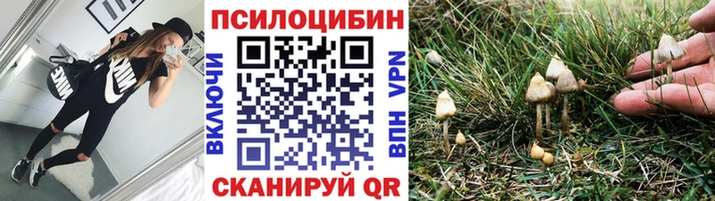 Галлюциногенные грибы мицелий  Ельня 